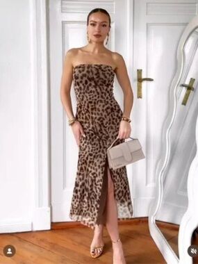 Zara Strapless Tulle Leopard-Print Midi Dress